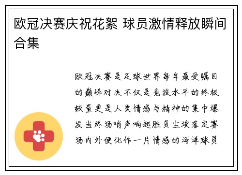 欧冠决赛庆祝花絮 球员激情释放瞬间合集